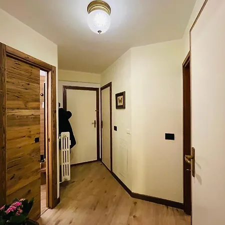 Panoramic 아파트 브루일서비니아