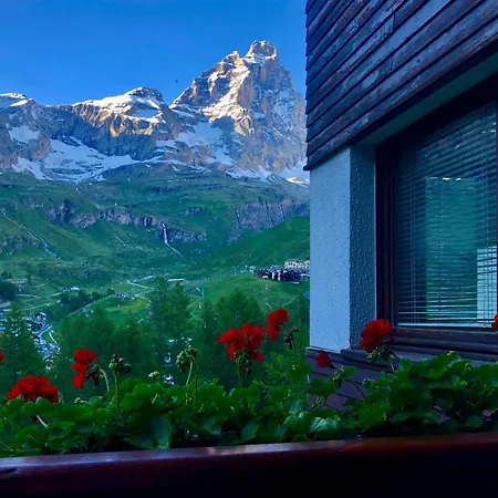 Panoramic *