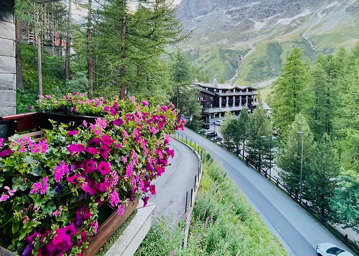 아파트 Panoramic 브루일서비니아